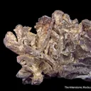 Silver with Calcite - image 9