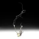 Silver with Calcite - image 1