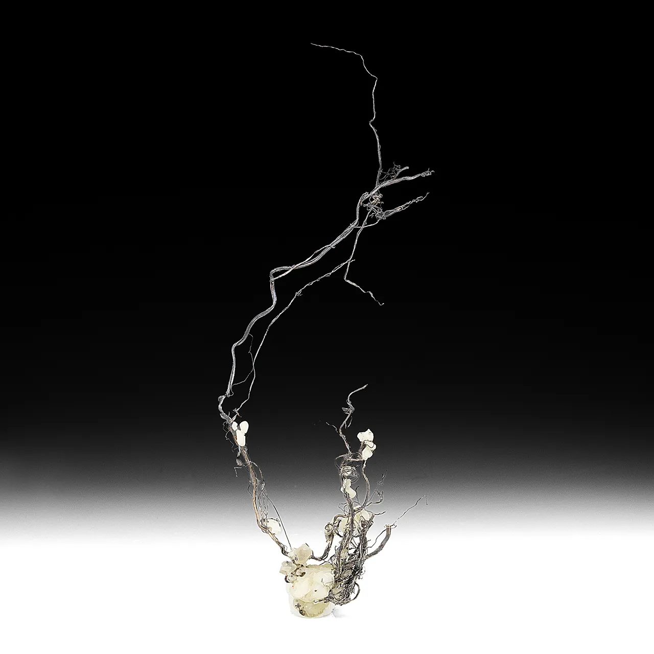 Silver with Calcite - image 1