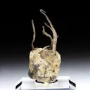 Silver with Calcite - image 1