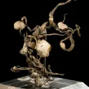 Silver With Calcite - image 3