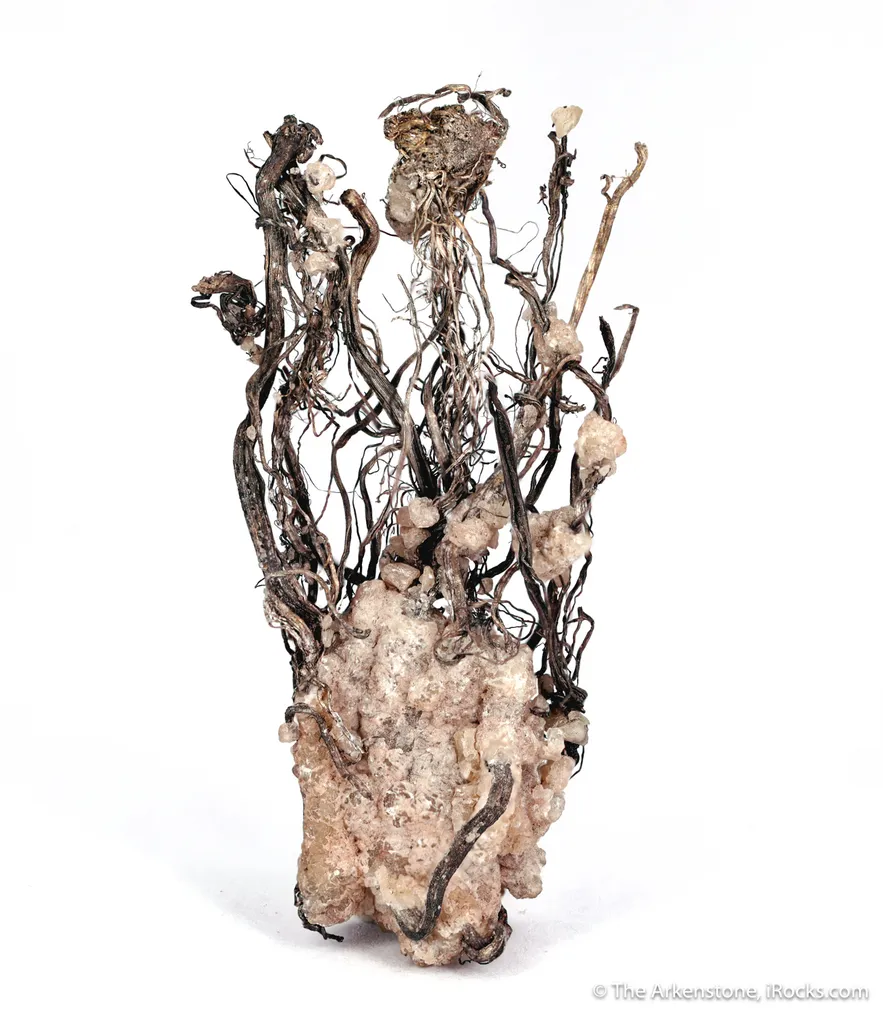 Silver with Calcite, on Calcite - image 3