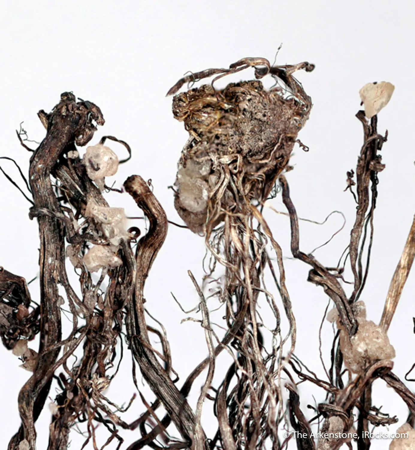 Silver with Calcite, on Calcite - image 4