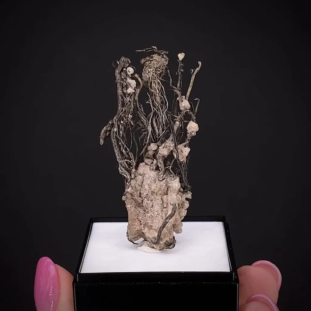 Silver with Calcite, on Calcite image