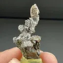 Silver with Copper - image 2