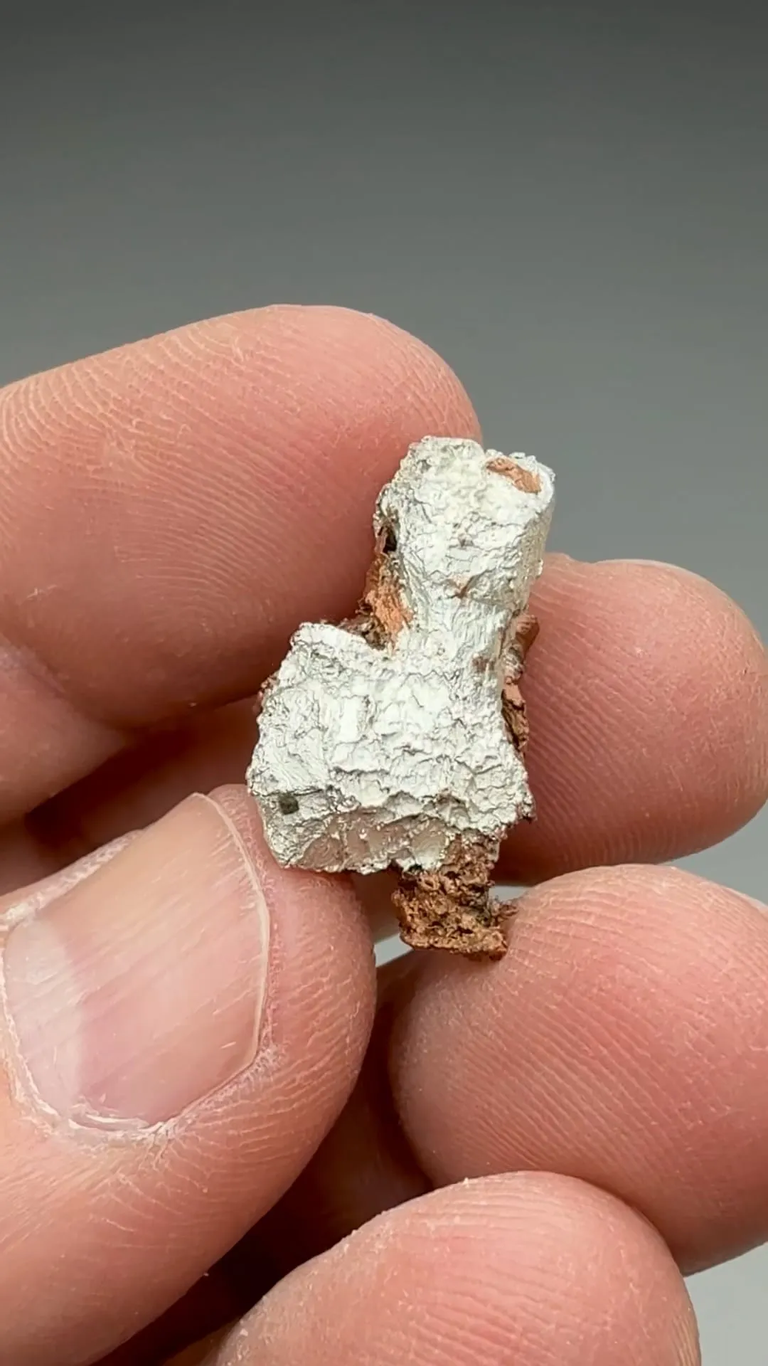 Silver with Copper - image 2