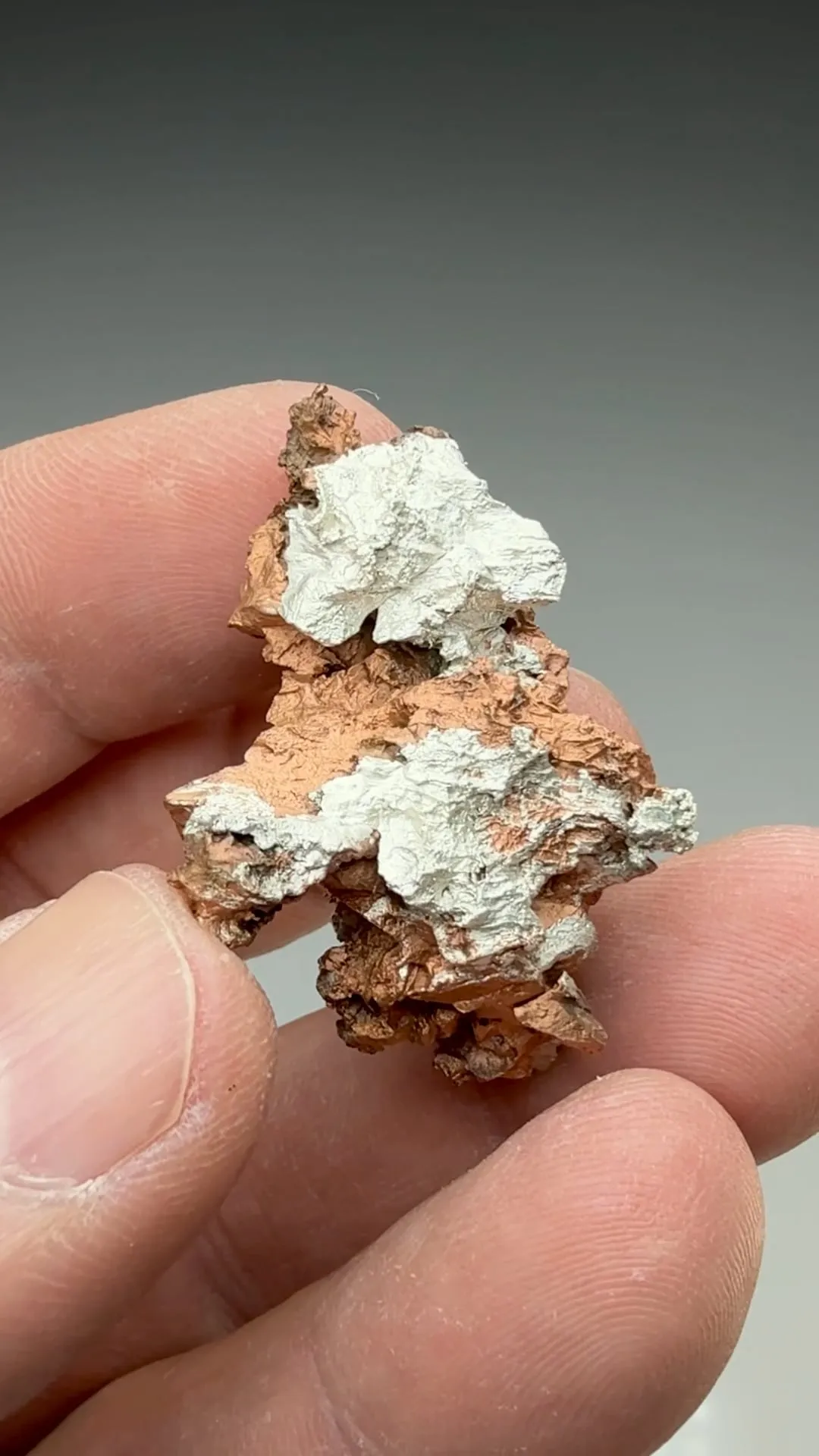 Silver with Copper - image 2