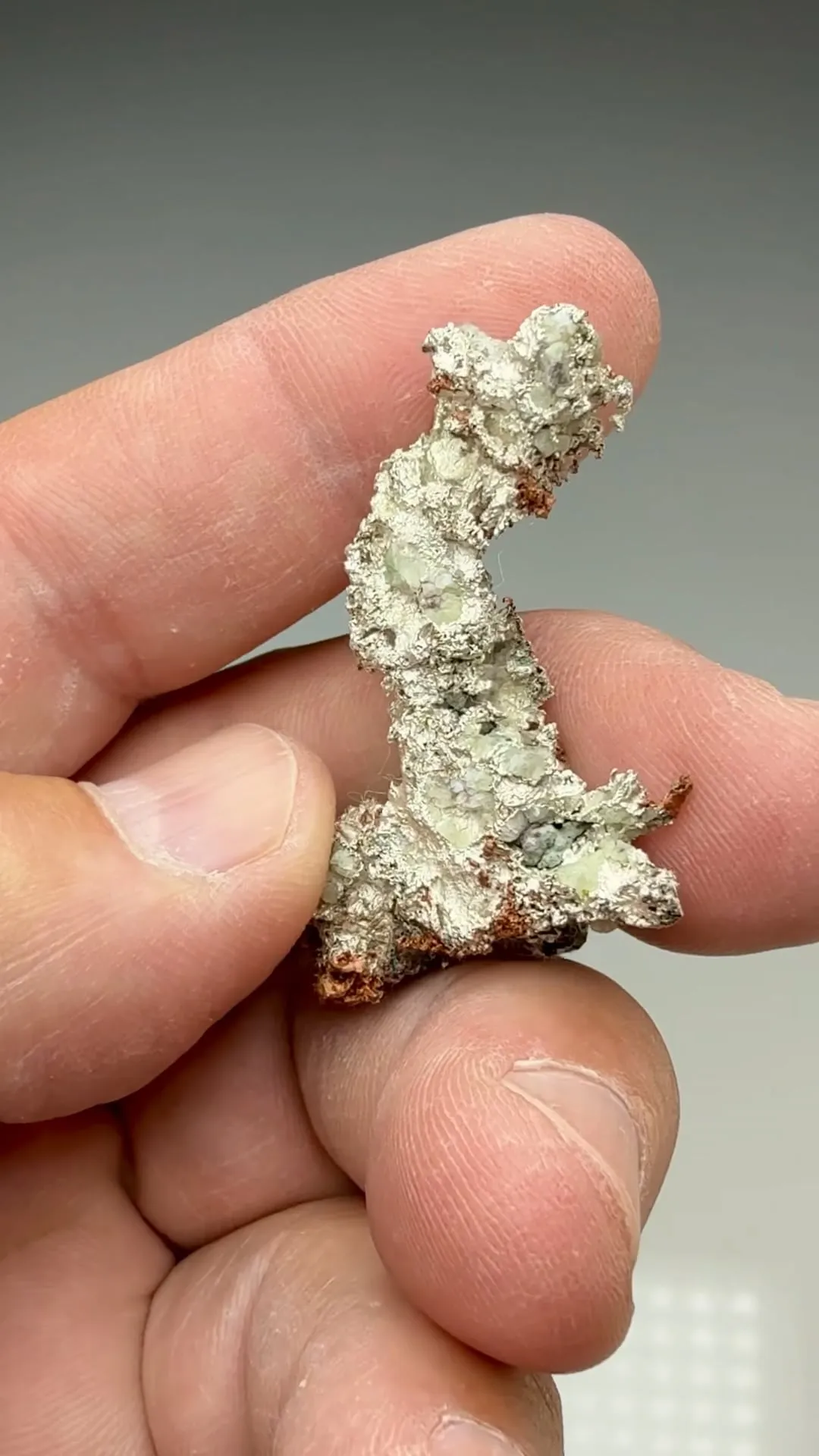 Silver with Copper - image 2