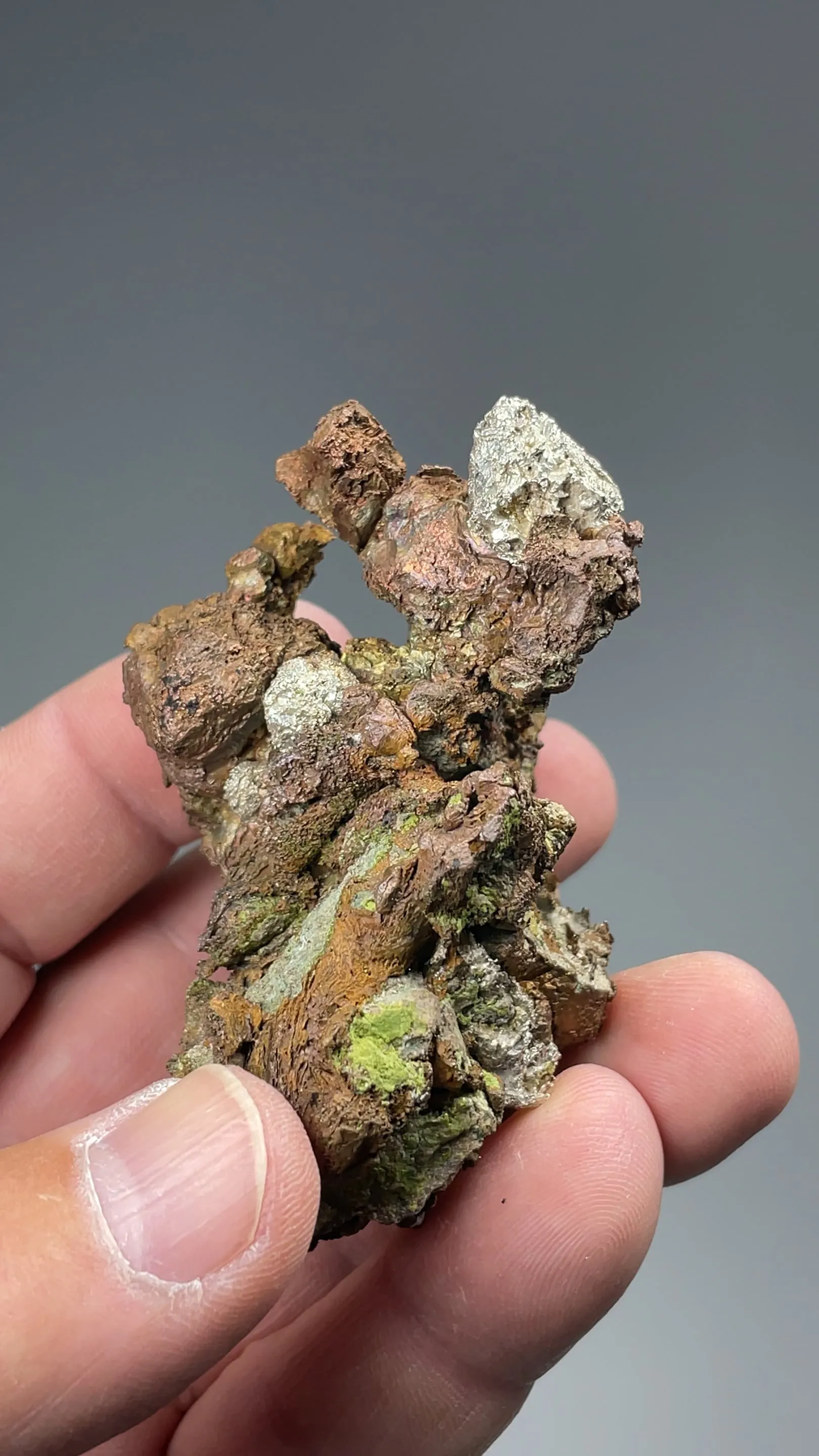 Silver with Copper - image 2