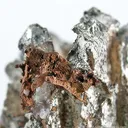 Silver With Copper - image 4