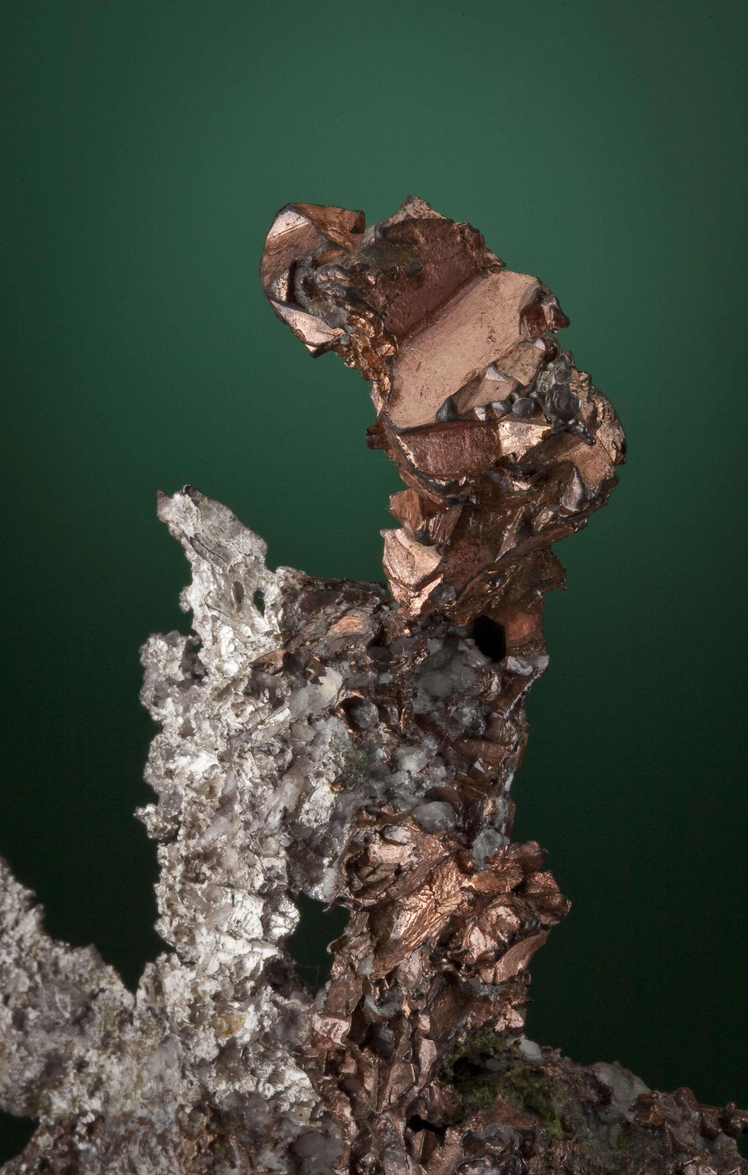 Silver With Copper Halfbreed - image 3