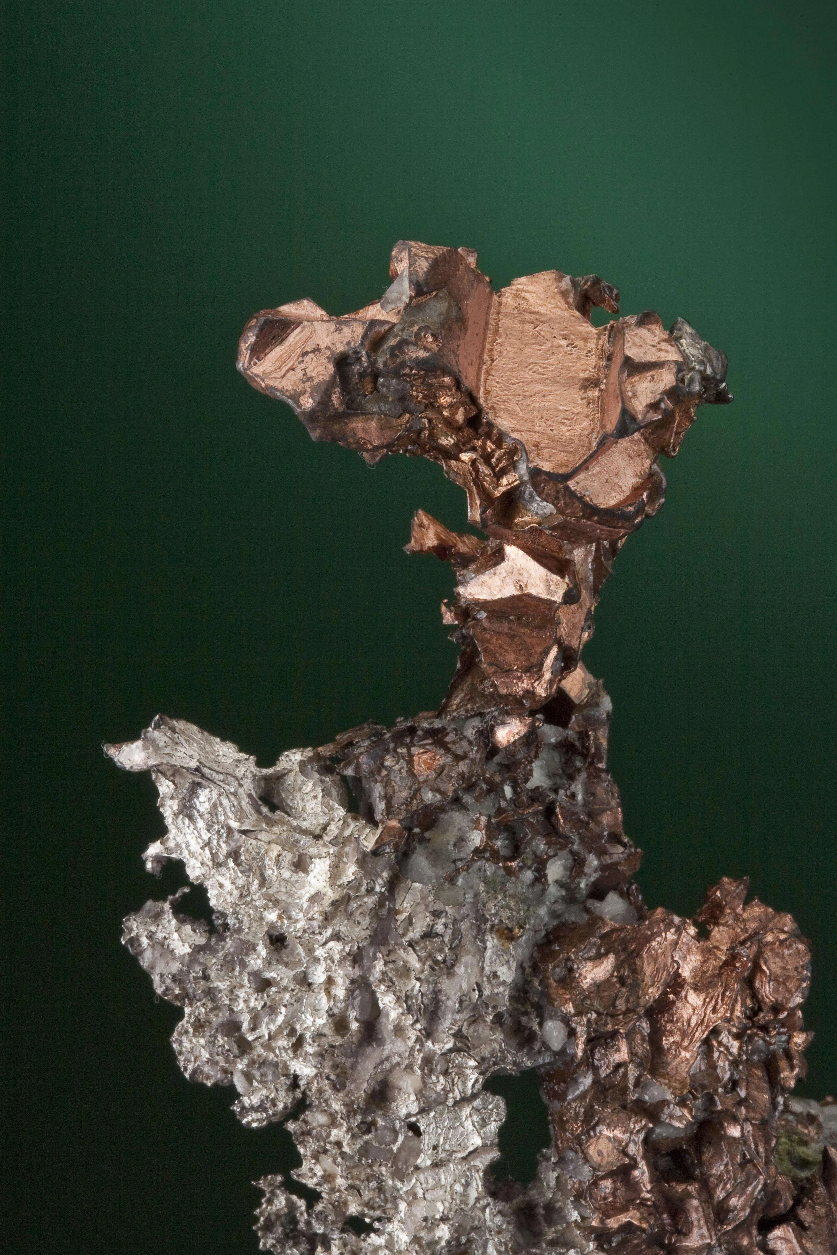 Silver With Copper Halfbreed - image 2