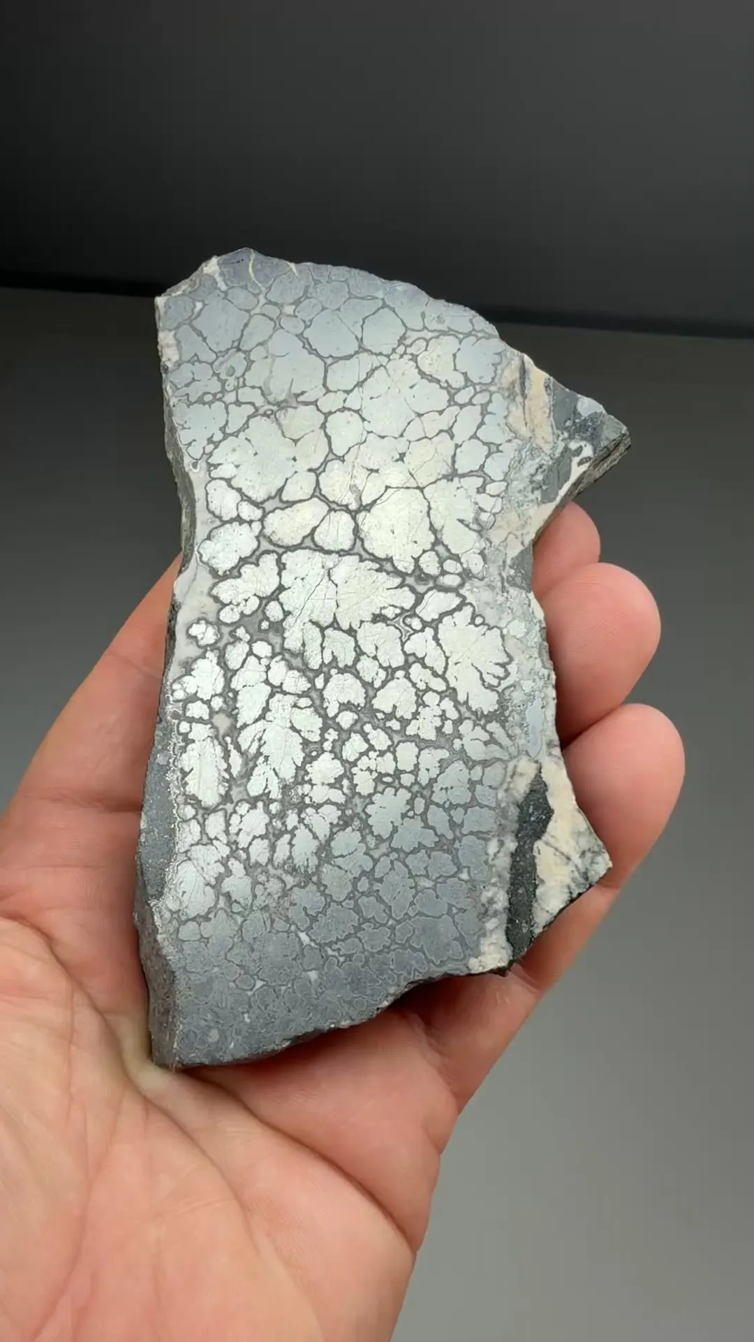 Silver with Lollingite - image 2