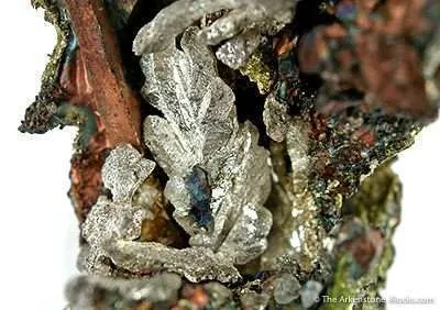 Silver Within Copper - image 4