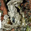 Silver Within Copper - image 4