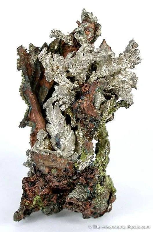 Silver Within Copper - image 2