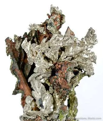 Silver Within Copper image
