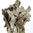 Silver Within Copper - image 1