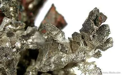 Silver Within Copper - image 3