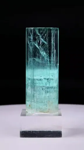 specimen video