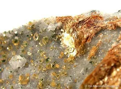 Sjogrenite With Pyroaurite image
