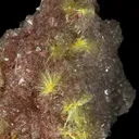 Sklodowskite and Gypsum - image 2