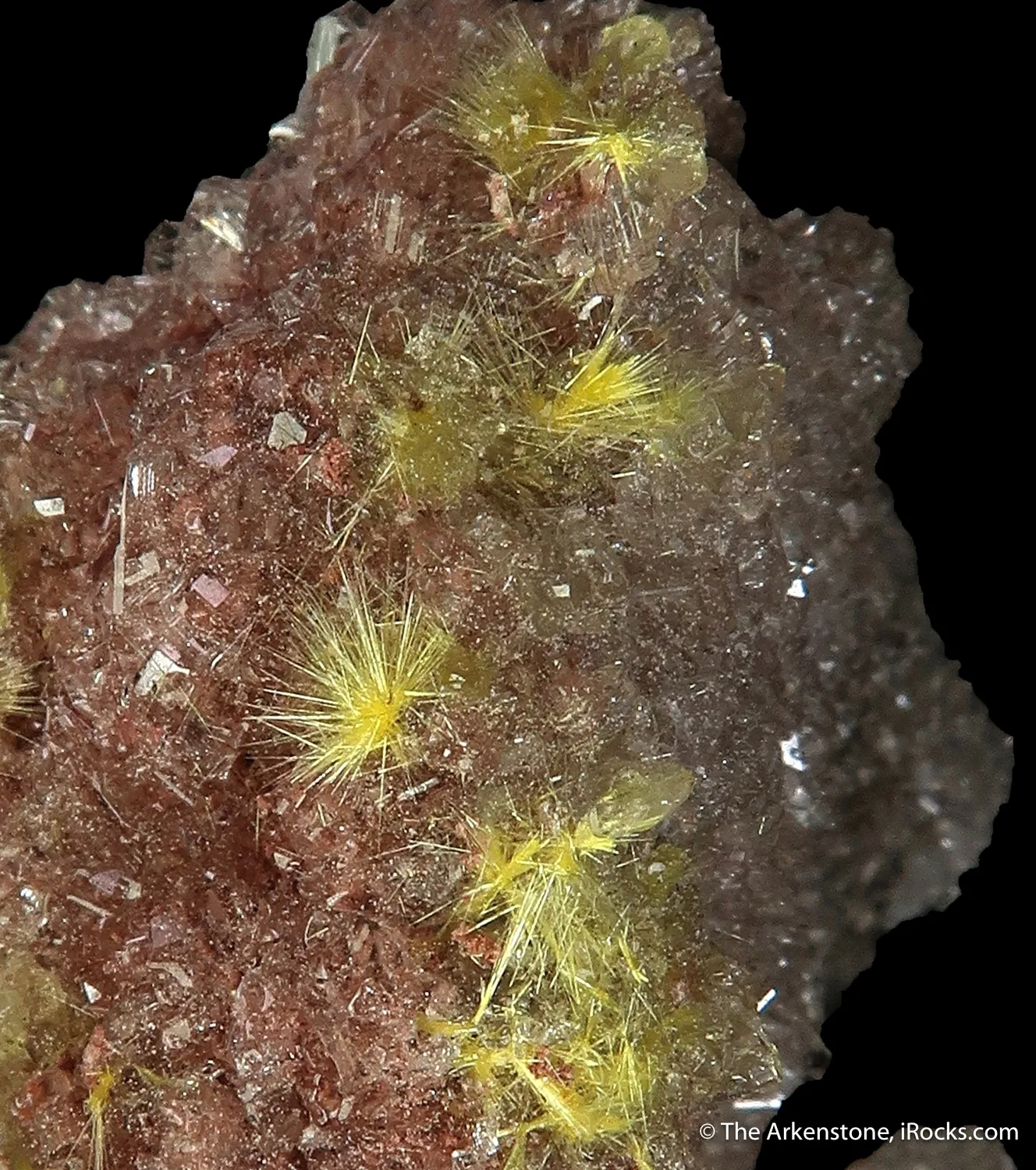 Sklodowskite and Gypsum - image 2