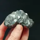 specimen video
