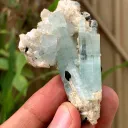 Sky Blue Aquamarine Crystals with Blacl Tourmaline from Pakistan 45 Gram - image 5