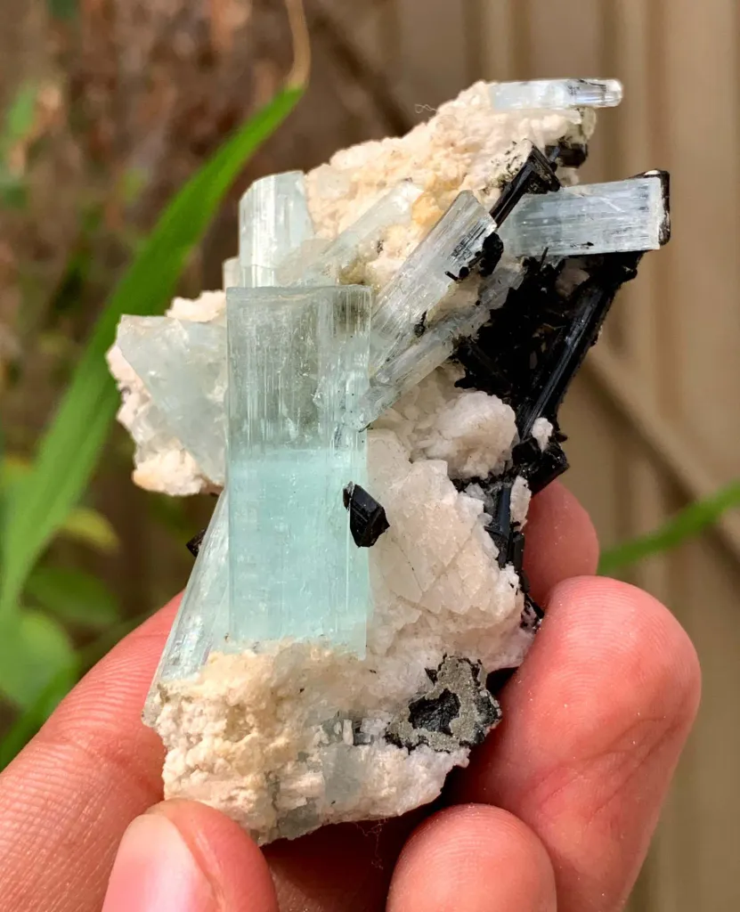 Sky Blue Aquamarine Crystals with Blacl Tourmaline from Pakistan 45 Gram image