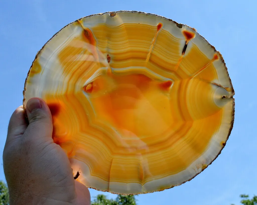 Slice - Agate 23 cm - 592 grams - Rio Grande do Sul, Brazil image