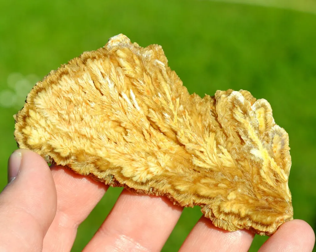 Slice - Barite & Pyrite 130 grams - Lubin mine, Lubin County, Lower Silesian Voivodeship, Poland image