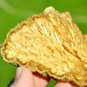 Slice - Barite & Pyrite 130 grams - Lubin mine, Lubin County, Lower Silesian Voivodeship, Poland - image 3