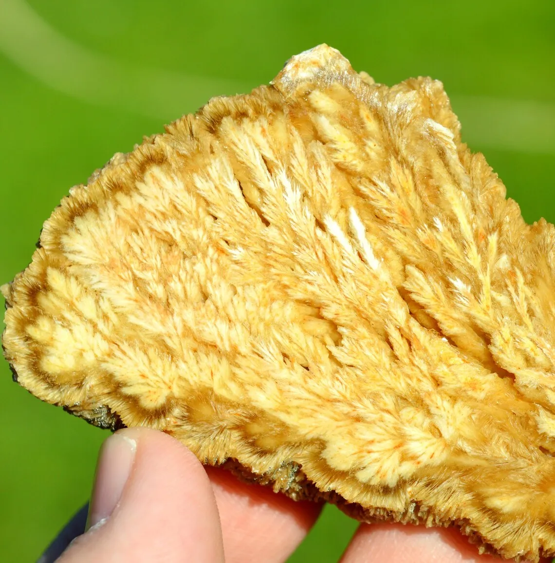 Slice - Barite & Pyrite 130 grams - Lubin mine, Lubin County, Lower Silesian Voivodeship, Poland - image 3