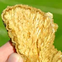 Slice - Barite & Pyrite 130 grams - Lubin mine, Lubin County, Lower Silesian Voivodeship, Poland - image 2