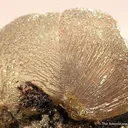 Smithsonite - image 2