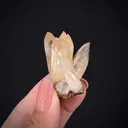 Smithsonite - image 2