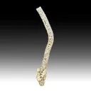 Smithsonite - image 1