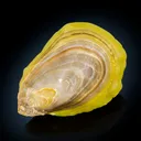 Smithsonite (Cadmian) - image 2