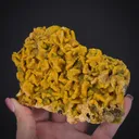 Smithsonite (Cadmian) ps. Dolomite - image 1