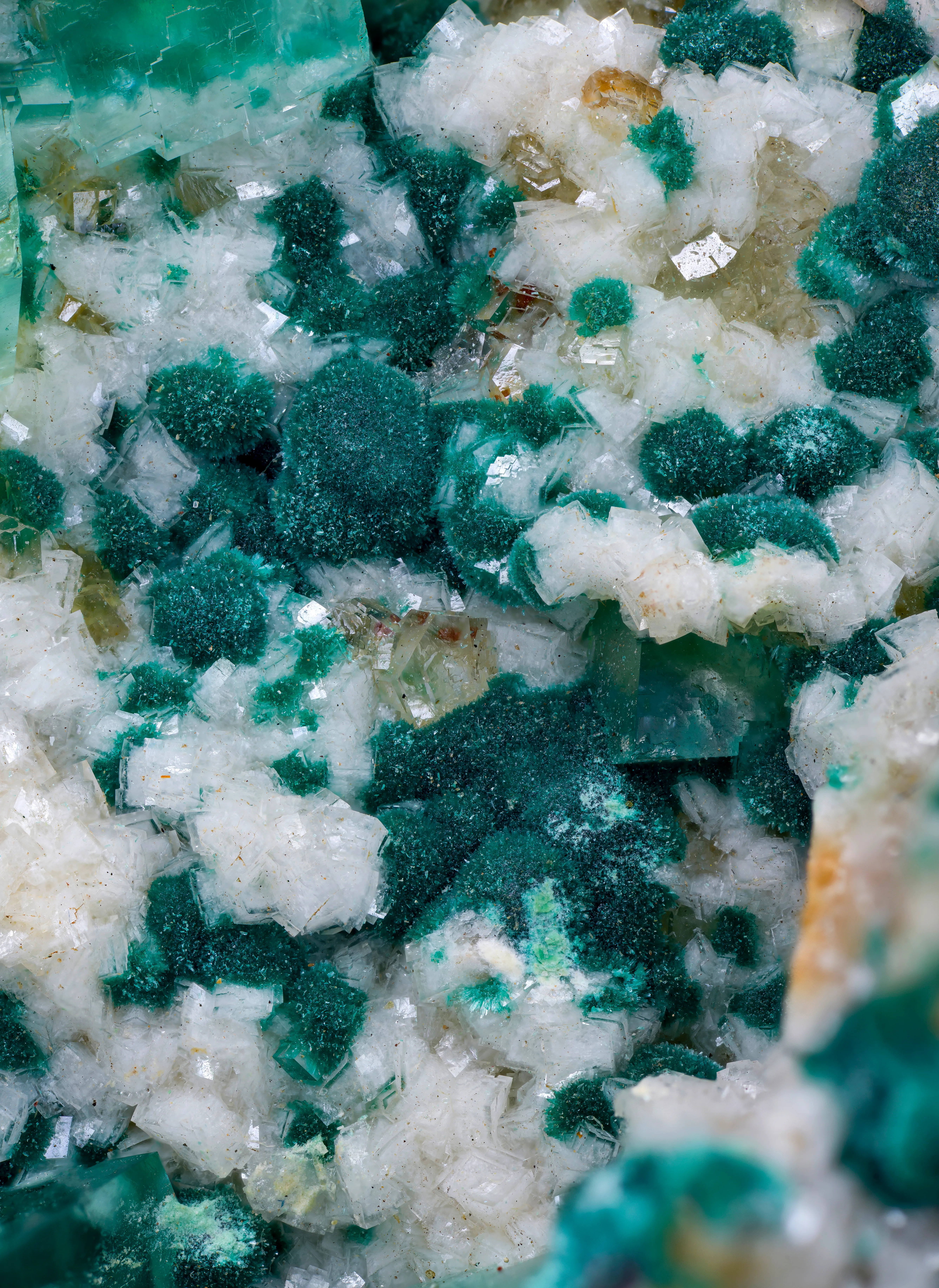 Smithsonite (Cuprian) & Rosasite - image 2