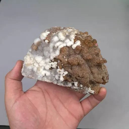 specimen video