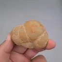 specimen video
