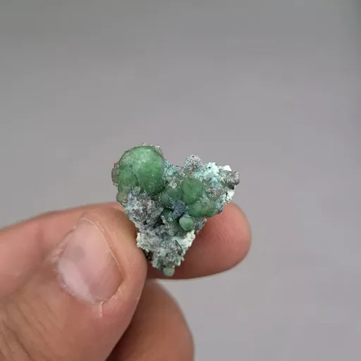 specimen video