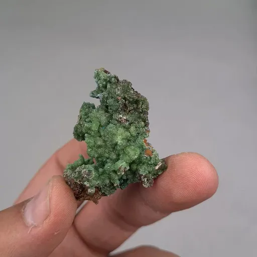 specimen video