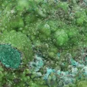 Smithsonite from Greece, Attica, Lavrion Mining District, Sounion - image 3