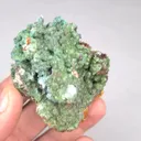 specimen video