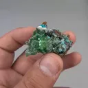 specimen video