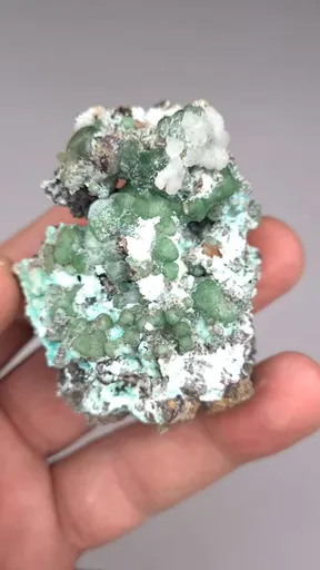 specimen video