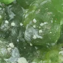 Smithsonite from Greece, Attica, Lavrion Mining District, Sounion - image 4